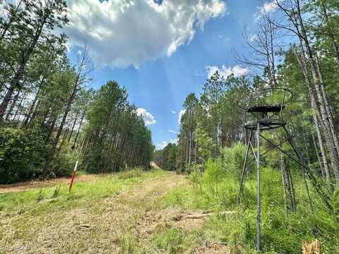 1 Whitetown Ln, Hazlehurst, MS 39083