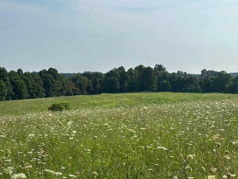 Lot #'s 16,17,18,19 Statham Rd, Liberty, KY 42539