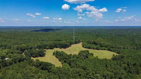 0 Hwy 10 E, Pine Apple, AL 36768