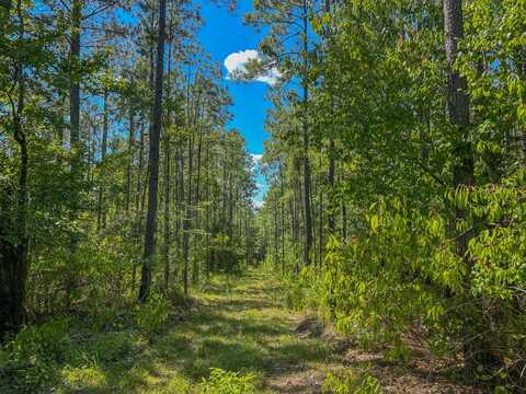 0 Co Rd 61, Pine Apple, AL 36768