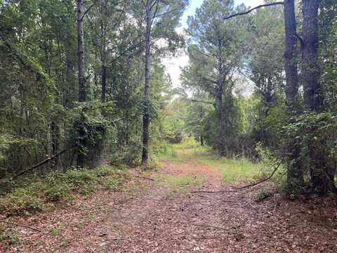 1423 Co Hwy 25, Hamilton, AL 35570