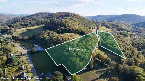 0 Cemetery Road, Genesee, PA 16923