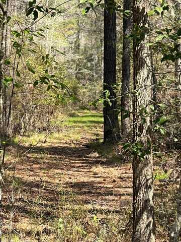 3264 Daley Rd, Garnett, SC 29922