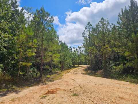 1686 County Rd. 4, Thomasville, AL 36784