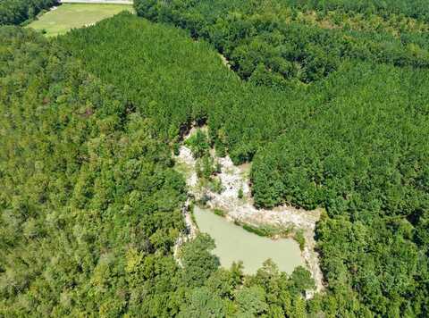 214 Anderson Taylor Drive, Estill, SC 29918