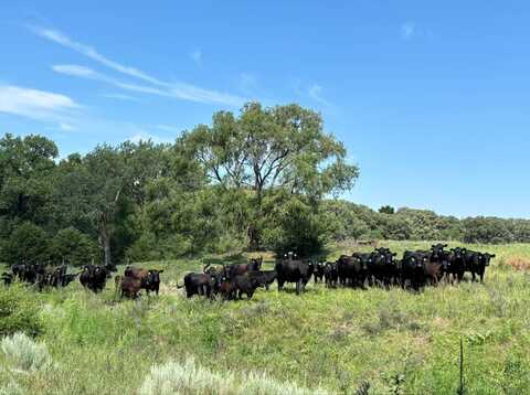 509th Avenue, Oneill, NE 68763
