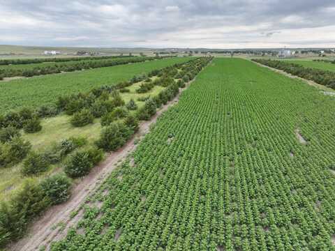 TBD Highway 16, Presho, SD 57568