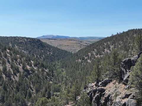 TL 300 McCoy Creek, Diamond, OR 97722