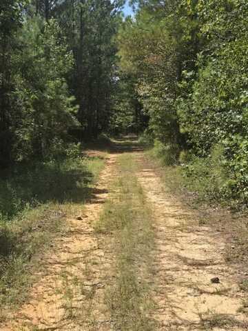 000 Adams Road, Bankston, AL 35542