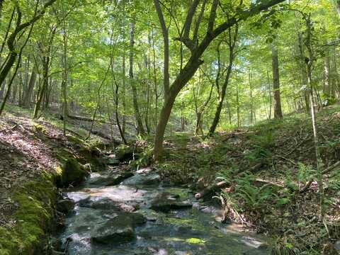 1100 Jack Stoudemayer Road, Little Mountain, SC 29075