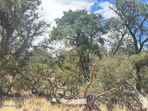 1020 Duffis Bluff Road, Seligman, AZ 86337