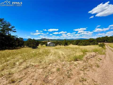 1876 F Path, Texas Creek, CO 81223