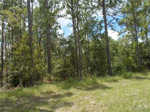 1152 W CITRUS SPRINGS Boulevard, Citrus Springs, FL 34434