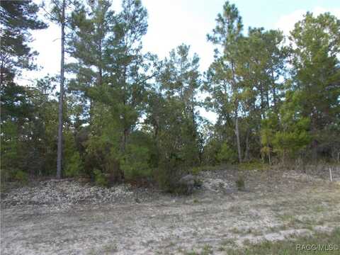 4848 W PINE RIDGE Boulevard, Beverly Hills, FL 34465