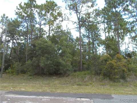 9551 N STAFFORD Drive, Citrus Springs, FL 34434