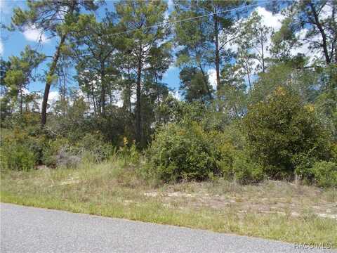 8568 N FEATHER Avenue, Citrus Springs, FL 34434