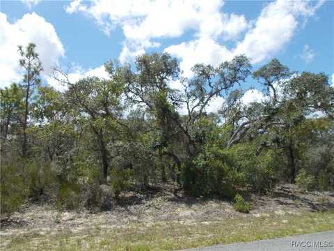 2792 W GAUCHO Drive, Citrus Springs, FL 34434