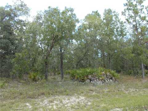 6667 N UNDERWOOD Drive, Citrus Springs, FL 34434
