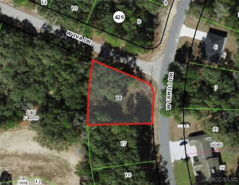 2939 W Camilo Drive, Citrus Springs, FL 34434