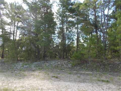 4806 W PINE RIDGE Boulevard, Beverly Hills, FL 34465