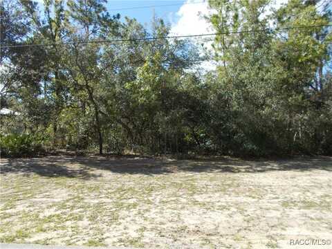 2796 W PARAGON Lane, Citrus Springs, FL 34434
