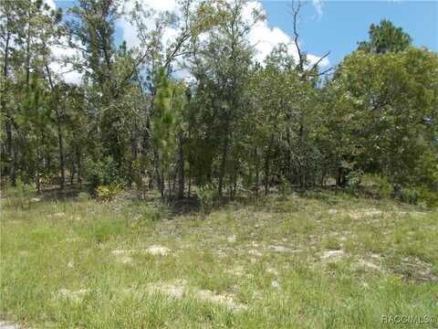 6751 N WATERFALL Terrace, Citrus Springs, FL 34434
