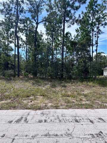 2910 W Rutland Drive, Citrus Springs, FL 34433