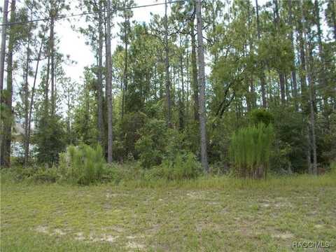 1168 W CITRUS SPRINGS Boulevard, Citrus Springs, FL 34434