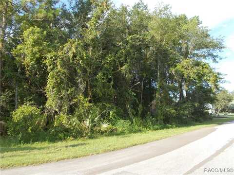 1 Sycamore Court W, Homosassa, FL 34465