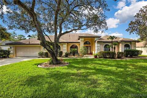 9 Bigleaf Court, Homosassa, FL 34446