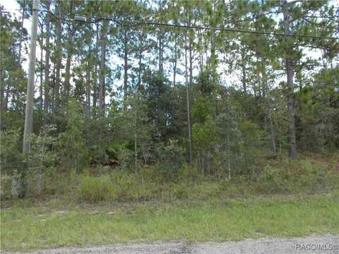 7215 N RADCLIFF Avenue, Citrus Springs, FL 34434