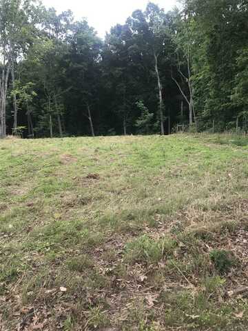 Lot 6 Ayers Lane, Scottsville, KY 42164
