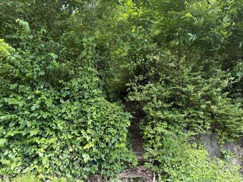 365 Fair Street SE, Cleveland, TN 37311