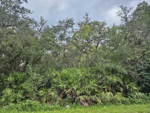 0 Grape Avenue, Okeechobee, FL 34972