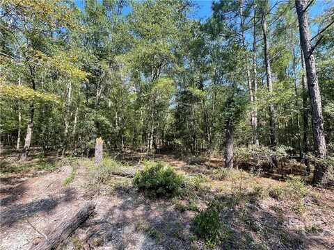 06 OLD AUGUSTA RD, Clyo, GA 31303