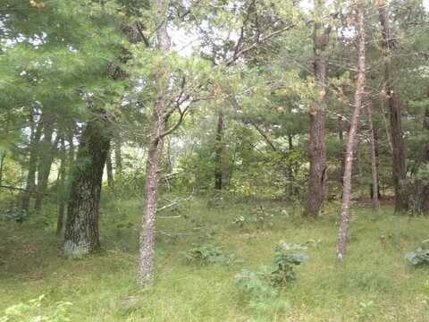462 Duffers Trail, Nekoosa, WI 54457