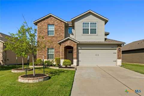 1042 Gaelic Drive, Georgetown, TX 78626