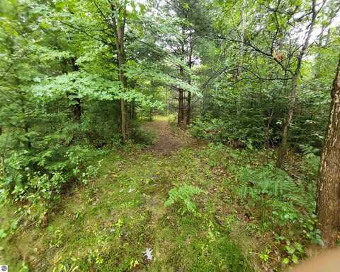 5310 Michigan Highway, Roscommon, MI 48653