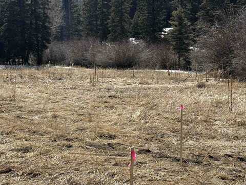 Tbd Riverside Ct, Red River, NM 87558