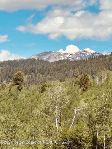 MARTEN Place, Alpine, WY 83128