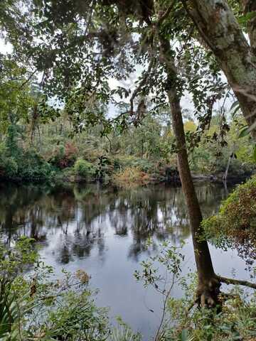 SW Dragon Way, Jasper, FL 32052