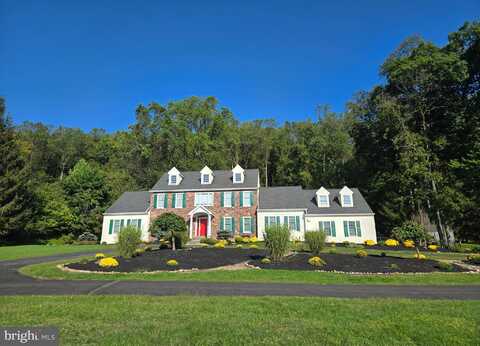 5584 LOWER MOUNTAIN ROAD, NEW HOPE, PA 18938