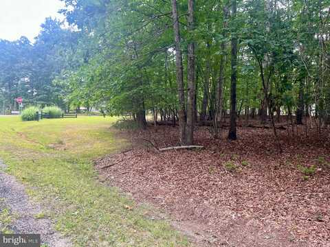 Lot 17 MARY WAYNE LANE, MINERAL, VA 23117