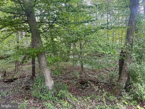 TBD VAN BUREN ROAD, MAURERTOWN, VA 22644