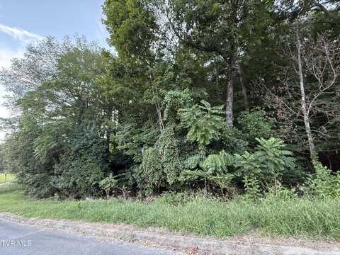 0 Maywood & Welch Drive, Kingsport, TN 37660