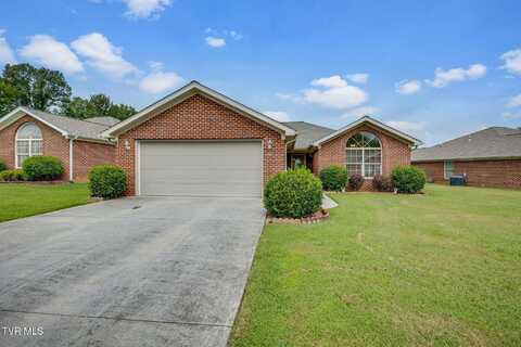 266 Crockett Drive, Church Hill, TN 37642