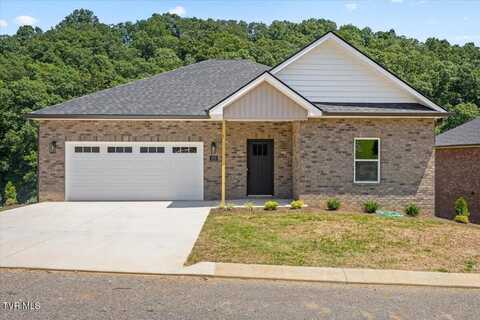 155 Quiet Stroll Lane, Gray, TN 37615