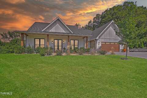 175 Deer Ridge Court, Butler, TN 37640