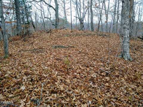 000 New Hope Road, Sneedville, TN 37869