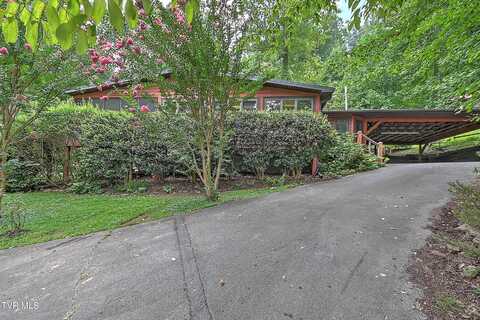 162 Lakeside Drive, Butler, TN 37640